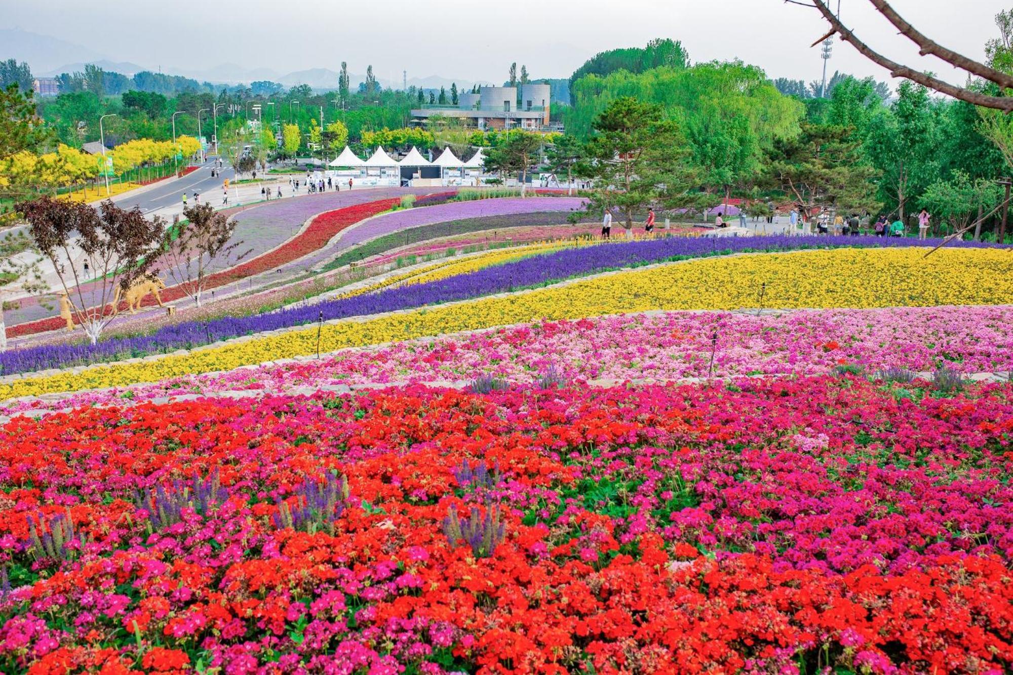 ฮอลิเดย์ อินน์ เอ็กซ์เพรส ปักกิ่ง ป้าต้าหลิง Yanqing ภายนอก รูปภาพ